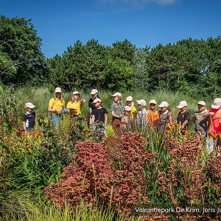 Villapark Residentie Texel Tatil parkı *