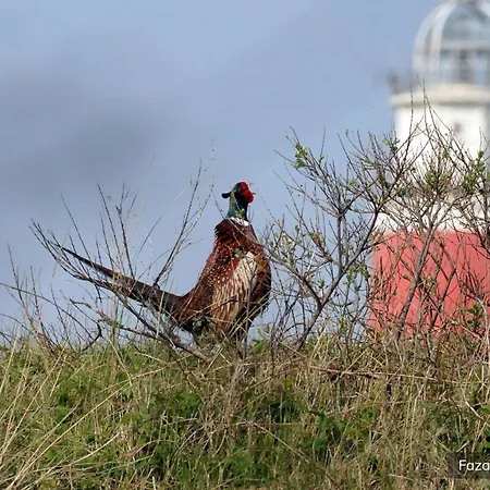 Villapark Residentie Texel *