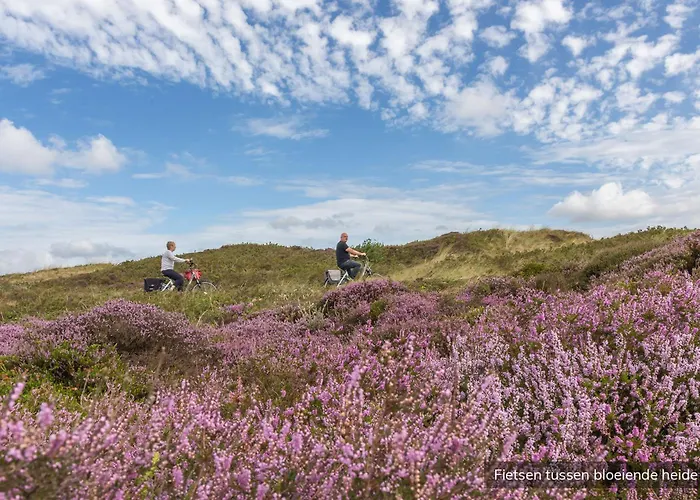 Villapark Residentie Texel *