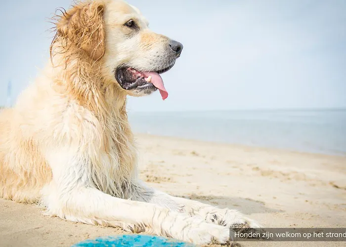 Villapark Residentie Texel * 더콕스도르프