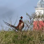 Villapark Residentie Texel *